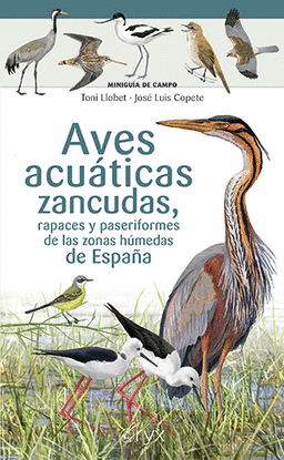 AVES ACUTICAS ZANCUDAS, RAPACES Y PASERIFORMES DE LAS ZONAS HMEDAS DE ESPAA