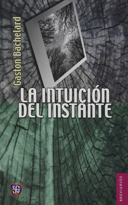 INTUICIN DEL INSTANTE,LA